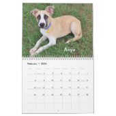 Calendrier Chiens de l'abri animalier d'Oklahoma City 2024 (Feb 2026)