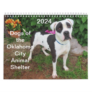 Calendrier Chiens de l'abri animalier d'Oklahoma City 2024