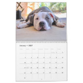 Calendrier Chiens de lazy Funny personnalisés 2026 (Jan 2027)