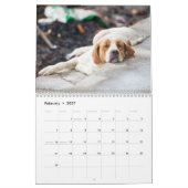 Calendrier Chiens de lazy Funny personnalisés 2026 (Feb 2027)