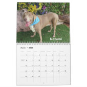 Calendrier Chiens de l'Oklahoma City Animal Shelter Calendrie (Mar 2026)