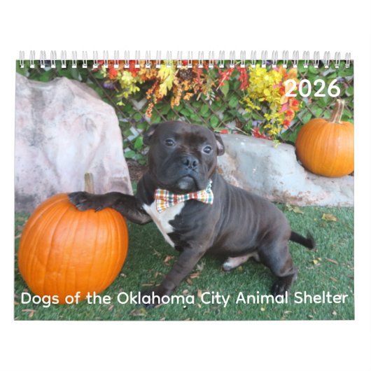 Calendrier Chiens de l'Oklahoma City Animal Shelter Calendrie (Protection)