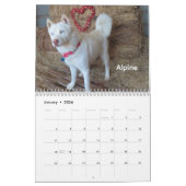 Calendrier Chiens de l'Oklahoma City Animal Shelter Calendrie (Jan 2026)