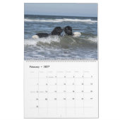 Calendrier Chiens de mer de Notta Bear (Feb 2027)