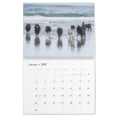 Calendrier Chiens de mer de Notta Bear (Jan 2027)
