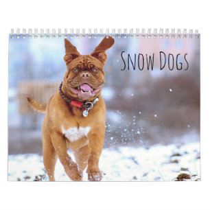 Calendrier Chiens de neige