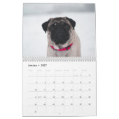 Calendrier Chiens de neige (Jan 2027)
