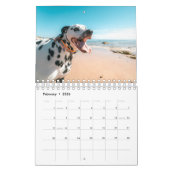Calendrier Chiens de plage (Feb 2026)