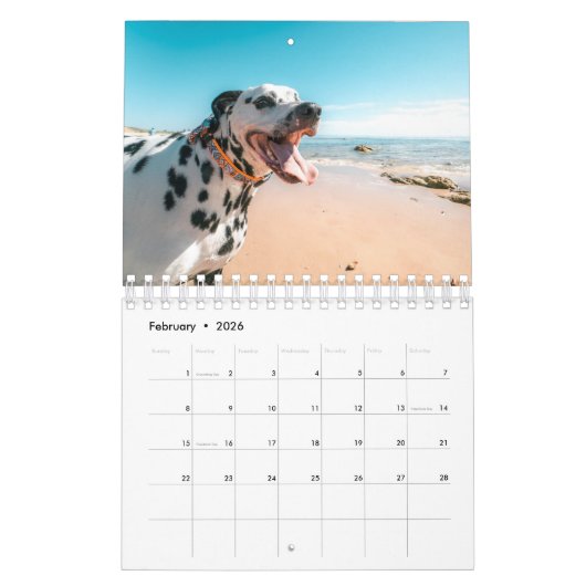 Calendrier Chiens de plage (Feb 2026)