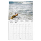 Calendrier Chiens de plage (Jan 2026)