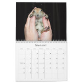 Calendrier Chiens de prairie coupés la queue par noir - (Mar 2027)