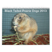Calendrier Chiens de prairie coupés la queue par noir - (Protection)