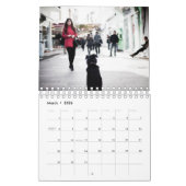 Calendrier Chiens de rue (Mar 2026)