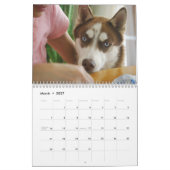 Calendrier Chiens de traîneau 2010 (Mar 2027)