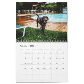 Calendrier Chiens d'eau (Feb 2026)