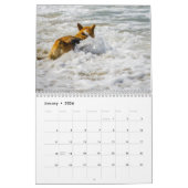 Calendrier Chiens d'eau (Jan 2026)