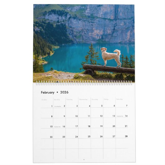 Calendrier Chiens d'eau (Feb 2026)