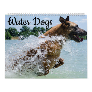 Calendrier Chiens d'eau