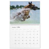 Calendrier Chiens d'eau (Jan 2026)