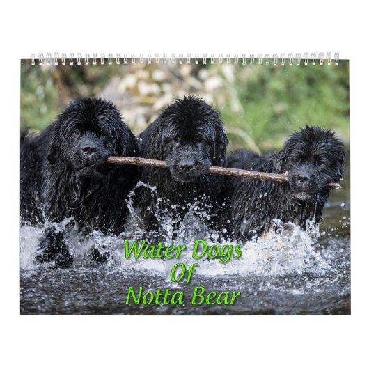 Calendrier Chiens d'eau de Notta Bear (Protection)