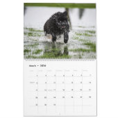 Calendrier Chiens D'Eau De Notta Ours (Mar 2026)