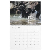 Calendrier Chiens D'Eau De Notta Ours (Jan 2026)