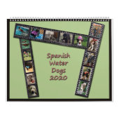 Calendrier Chiens d'eau espagnols 2020 (Protection)