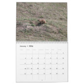 Calendrier Chiens des Prairies (Jan 2026)