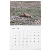 Calendrier Chiens des Prairies (Mar 2027)