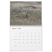 Calendrier Chiens des Prairies (Feb 2027)