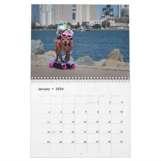 Calendrier Chiens - Les aventures stupéfiantes de Ruby - 2023 (Jan 2026)
