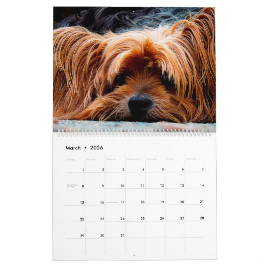 Calendrier Chiens mignons (Mar 2026)