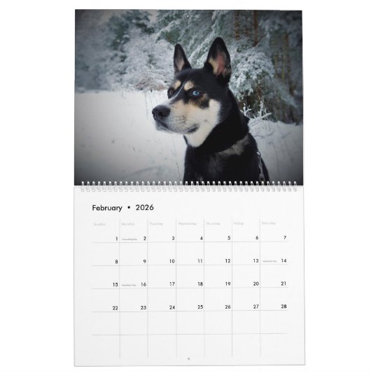 Calendrier Chiens mignons (Feb 2026)