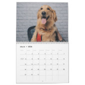 Calendrier Chiens mignons 2024 (Mar 2026)