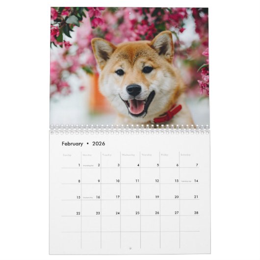 Calendrier Chiens mignons 2024 (Feb 2026)