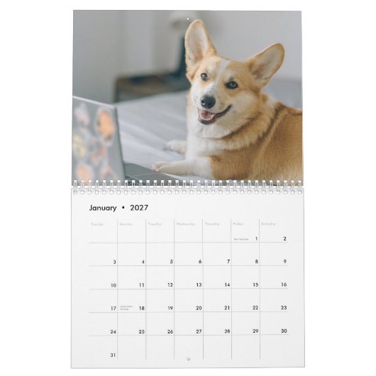 Calendrier Chiens mignons 2024 (Jan 2027)
