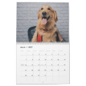 Calendrier Chiens mignons Simple Minimaliste (Mar 2027)