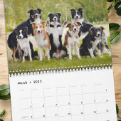 Calendrier Chiens Photo Collage Personnalisé Moderne 2026
