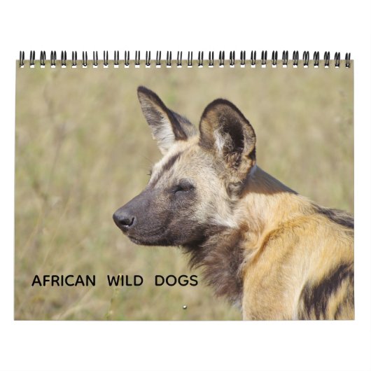 CALENDRIER CHIENS SAUVAGES AFRICAINS (Protection)