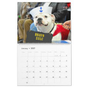 Calendrier CHIENS SUR PARADE - Chiens du service militaire am (Jan 2027)