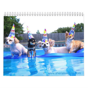 Calendrier Chiens vivant comme humains à côté de Sherial