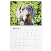 Calendrier Chiens Weimaraner 12 Mois Ghoarly Cadeaux Aquarell (Mar 2027)