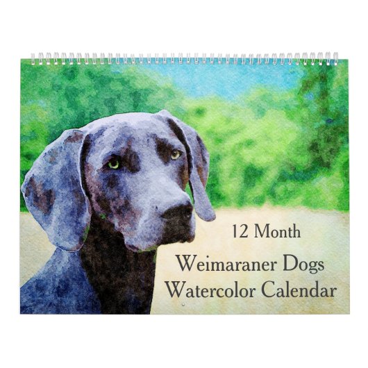 Calendrier Chiens Weimaraner 12 Mois Ghoarly Cadeaux Aquarell (Protection)