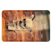 Calendrier Chihuahua 2017 Magnet photo 4x6 grand (Horizontal)