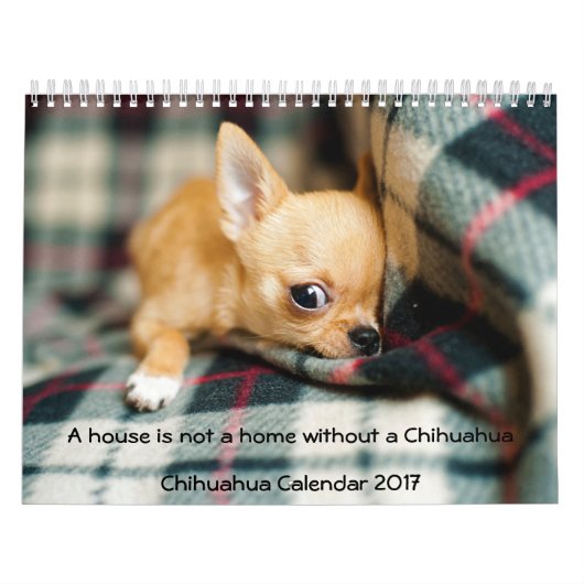 Calendrier Chihuahua 2017 Photo House N'Est Pas Un (Protection)