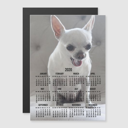Calendrier Chihuahua 2020 Carte photo magnétique 5 (Devant / Derrière)