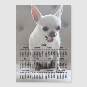 Calendrier Chihuahua 2020 Carte photo magnétique 5