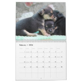 Calendrier Chihuahua 2023 Aimez Votre Chi Ajouter  (Feb 2026)