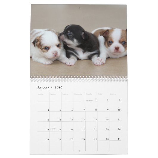 Calendrier Chihuahua 2023 Aimez Votre Chi Ajouter  (Jan 2026)