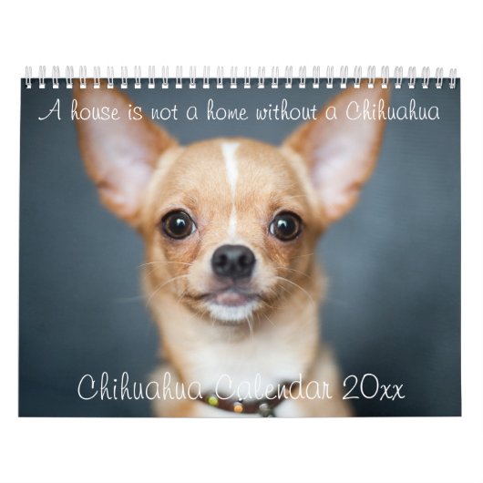 Calendrier Chihuahua 2023 La Maison N'Est Pas Une  (Protection)
